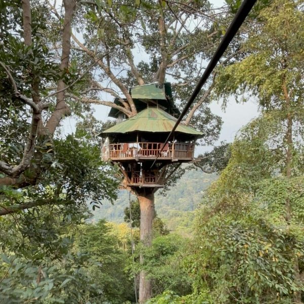 Gibbon experience laos